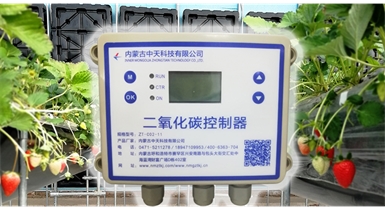中國北方CO?新技術，將促進農作物光合作用和光合產物的生成