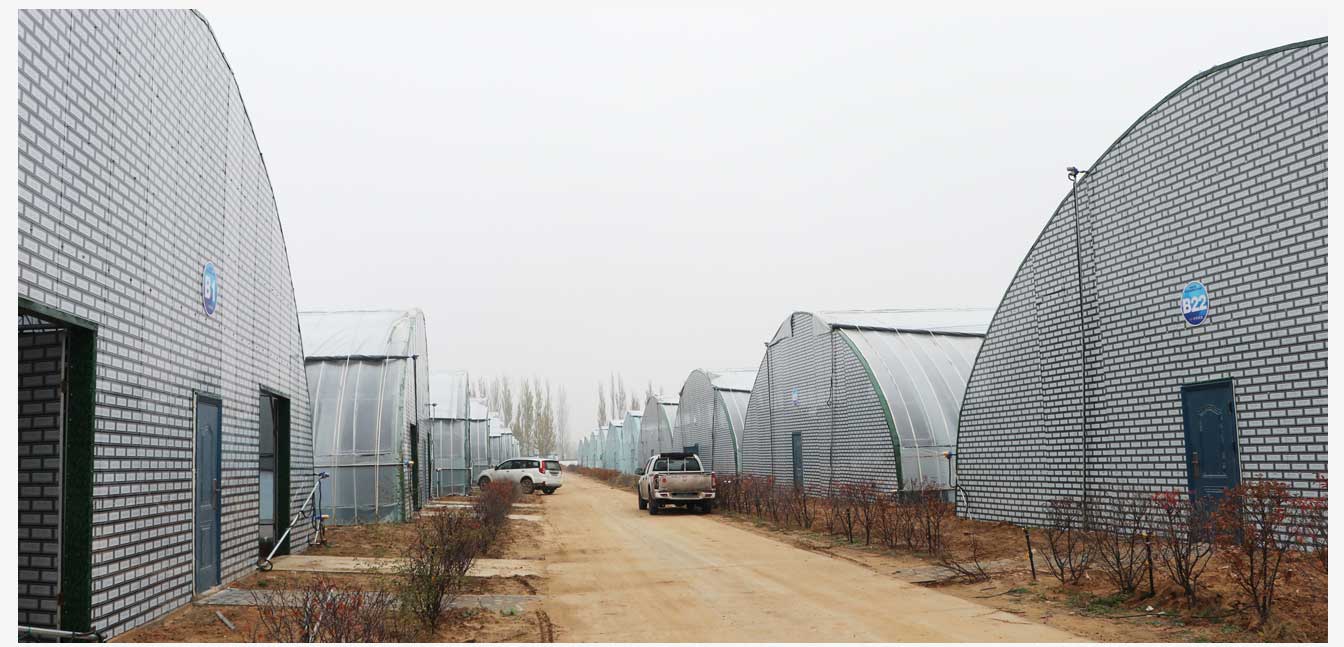 準格爾旗現代智慧設施農業產業園(網頁)_22.jpg 準格爾旗現代智慧設施農業產業園(網頁)_22.jpg