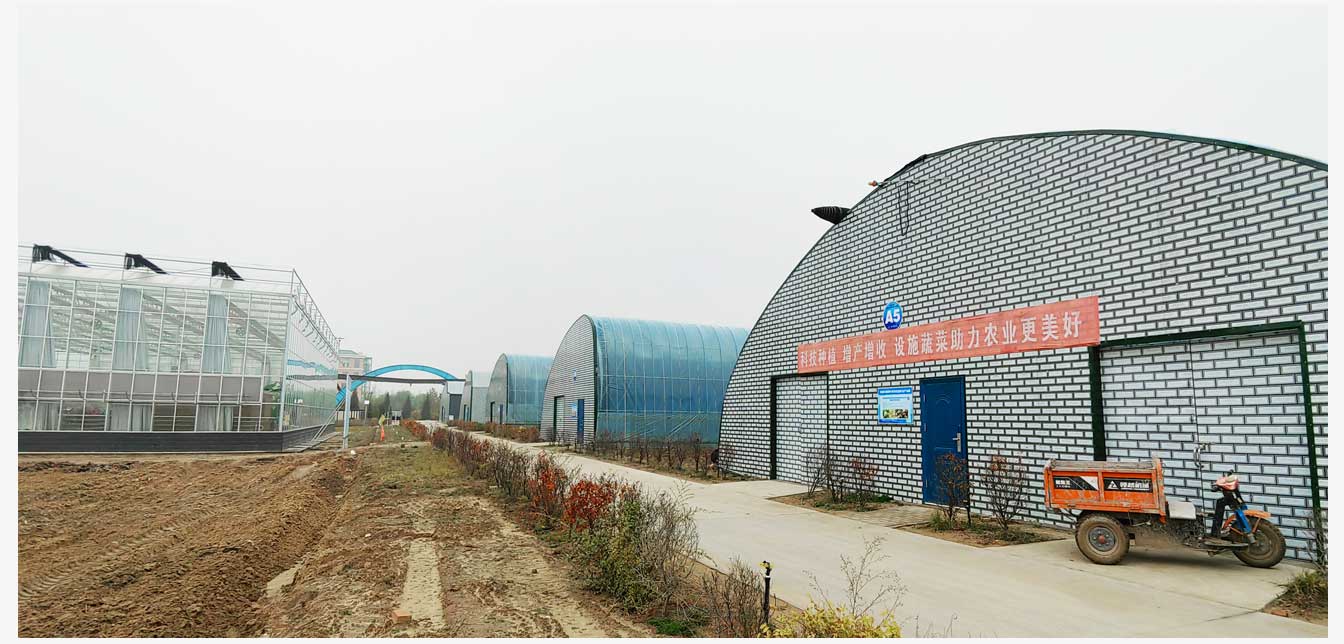 準格爾旗現代智慧設施農業產業園(網頁)_28.jpg 準格爾旗現代智慧設施農業產業園(網頁)_28.jpg