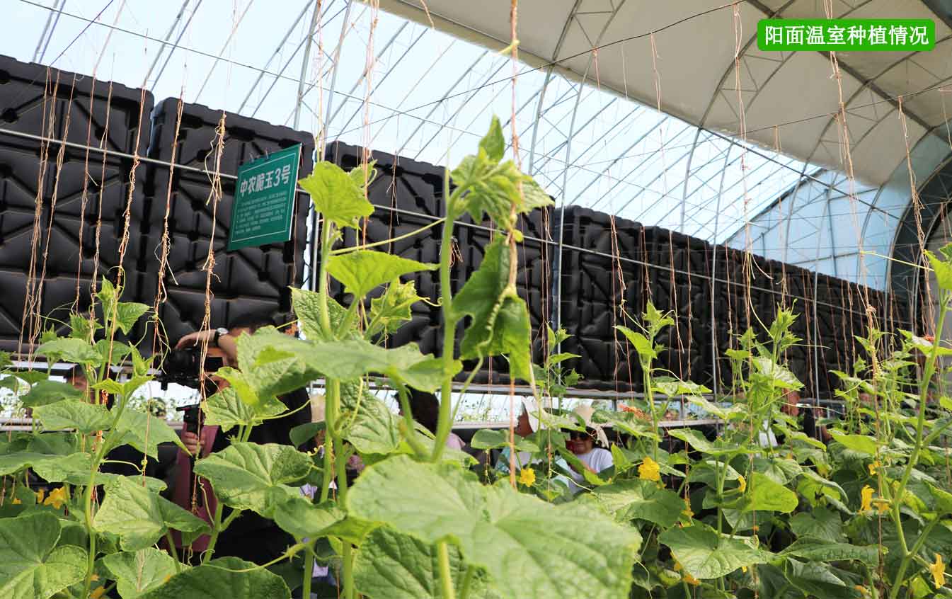 2、四季溫室網頁_12.jpg